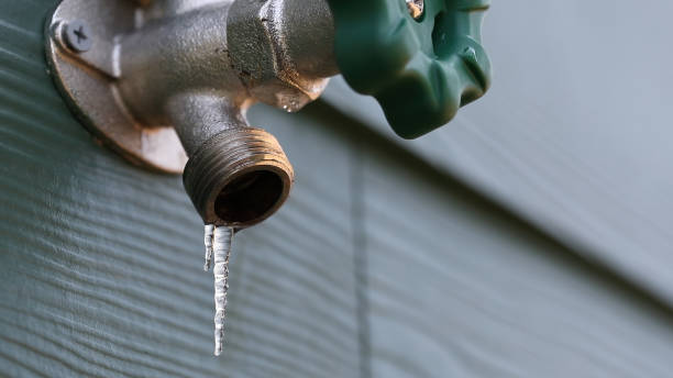 Best 24-Hour Plumber Near Me  in Rural Hill, TN